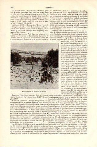 LAMINA V42397: Campo de los Pastores en Belen