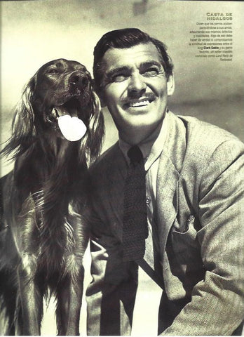 LAMINA 37219: Clark Gable con su perro