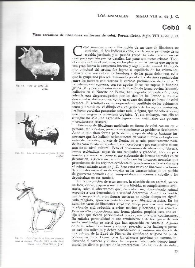 LAMINA 37004: Esculturas de toro