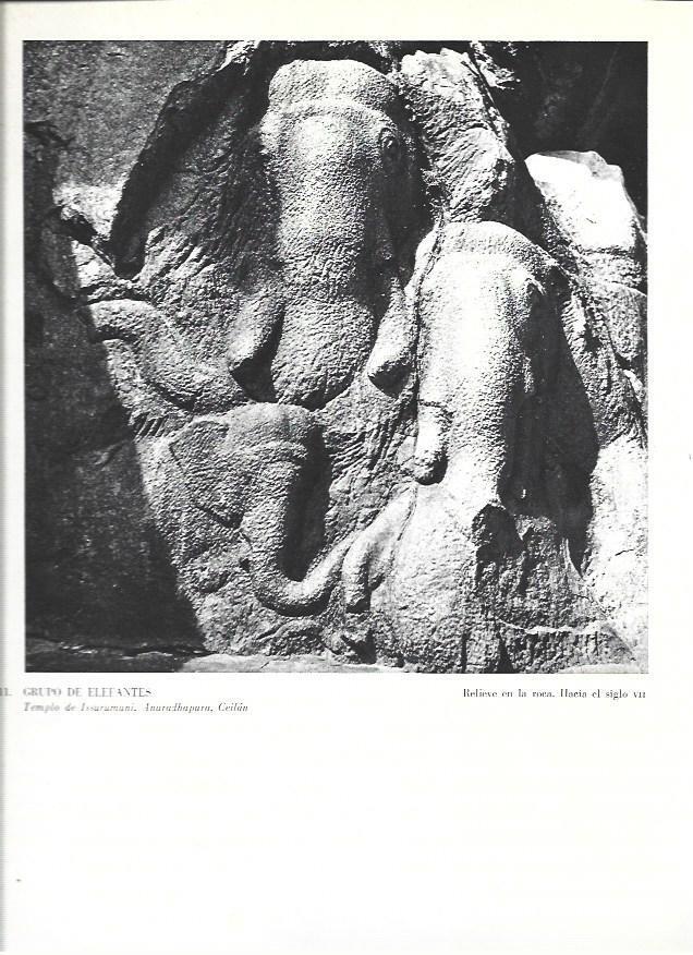 LAMINA 36989: Elefantes del Templo Issurumuni, Sri Lanka