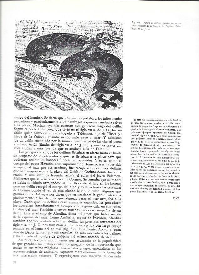 LAMINA 37008: Mosaico de delfines de Delos
