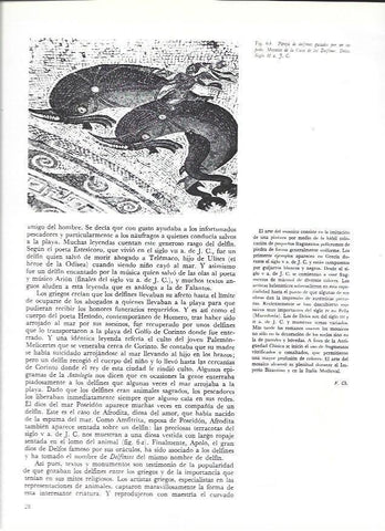 LAMINA 37008: Mosaico de delfines de Delos