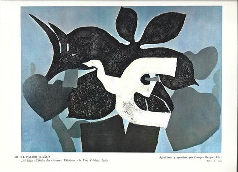 LAMINA 37021: El pajaro blanco, por Goerges Braque