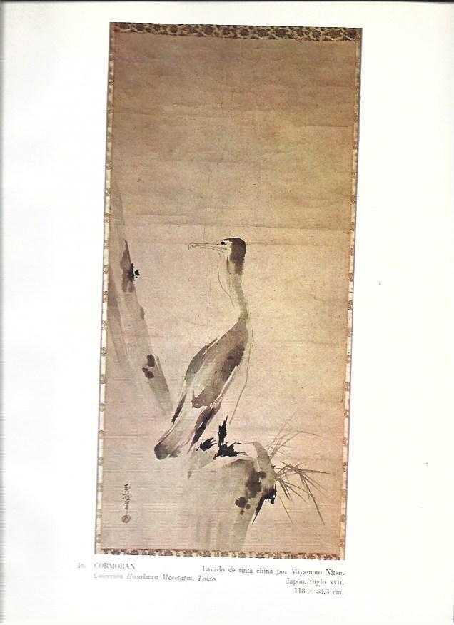 LAMINA 37015: Cormora, tinta china