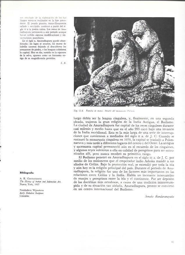 LAMINA 36987: Familia de monos en monumento Pallava, India