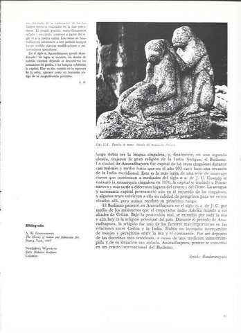 LAMINA 36987: Familia de monos en monumento Pallava, India