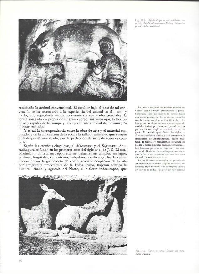 LAMINA 36986: Bufalo del monumento Pallava en India