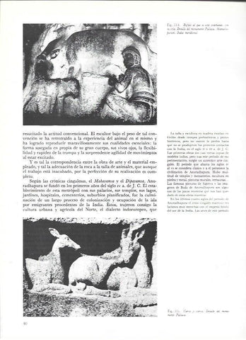 LAMINA 36986: Bufalo del monumento Pallava en India