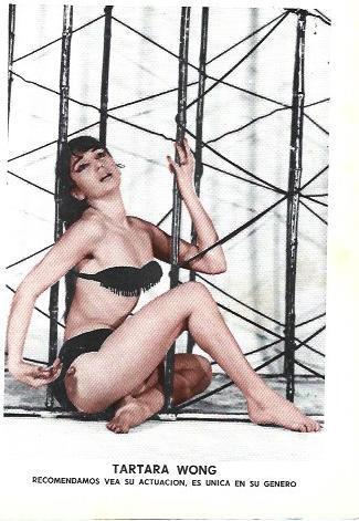 LAMINA 36954: Tartara Wong