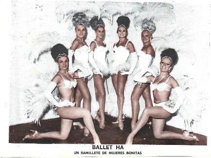 LAMINA 36950: Ballet Ha