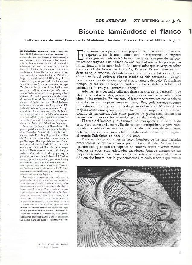 LAMINA 369847: Detalle del Bisonte lamiendose el flanco de la Cueva de La Madelaine