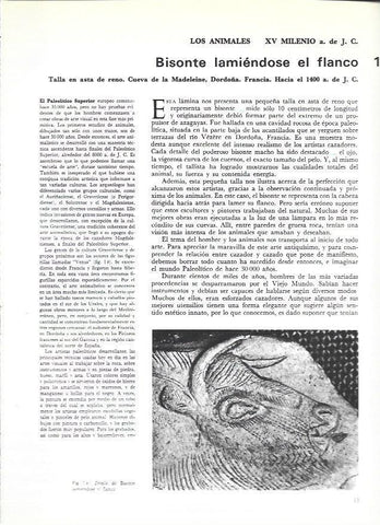 LAMINA 369847: Detalle del Bisonte lamiendose el flanco de la Cueva de La Madelaine