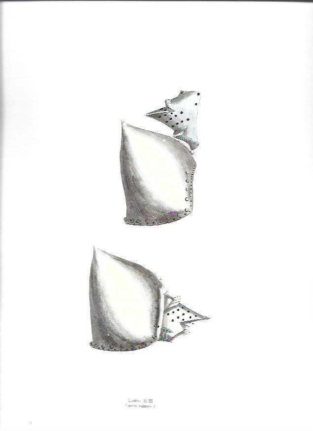 LAMINA 37116: Casco de armadura