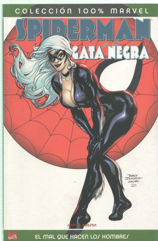 Panini: Coleccion 100% Marvel: Spiderman/Gata Negra: el mal que hacen los hombres