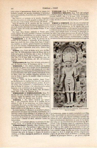 LAMINA V42756: Estatua de Visnu