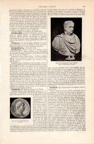LAMINA V42763: Busto del emperador Aulo Vitelio, Museo Capitolino