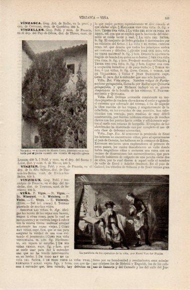 LAMINA V42710: El laurel de Mosen Cinto en Vinyolas, Barcelona
