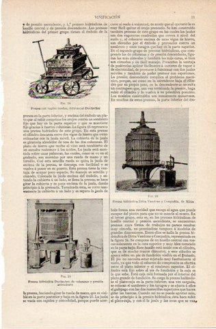 LAMINA V42699: Prensas hidraulicas para vinos