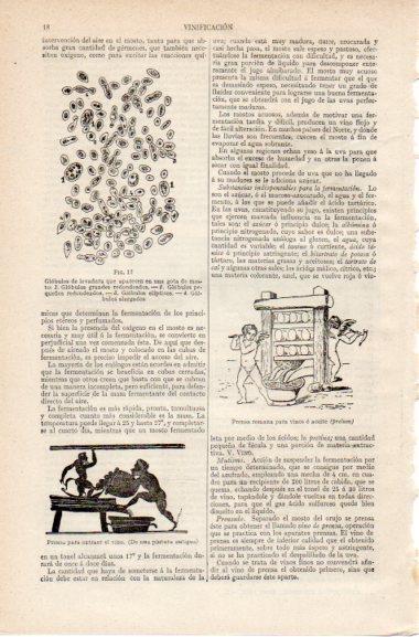LAMINA V42697: Prensa romana para vinos