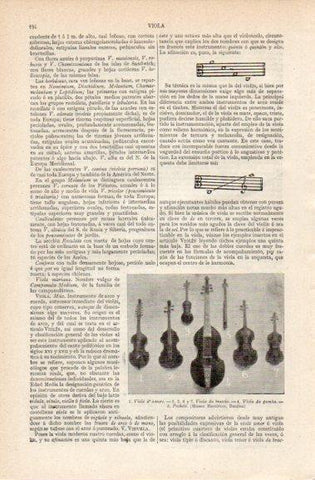 LAMINA V42714: Violas