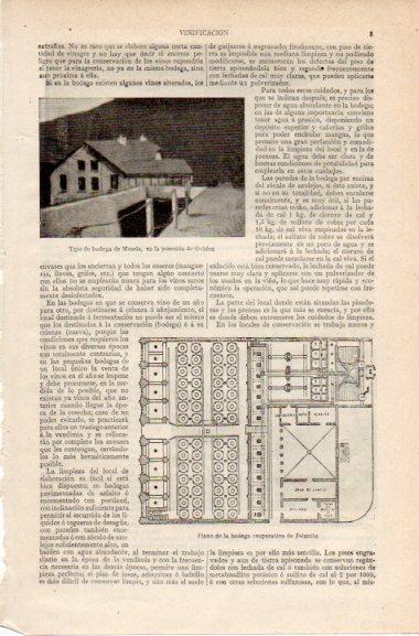 LAMINA V42695: Plano de la bodega cooperativa de Felanitx