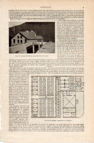 LAMINA V42695: Plano de la bodega cooperativa de Felanitx
