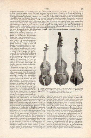 LAMINA V42715: Tipos de viola