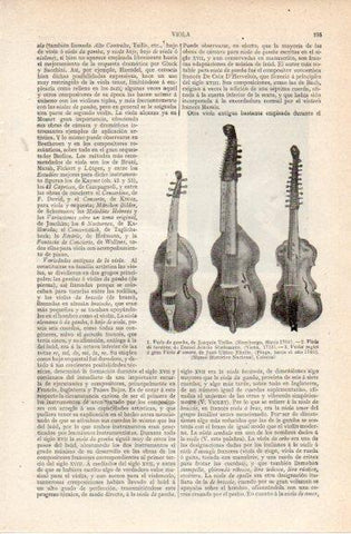 LAMINA V42715: Tipos de viola