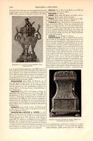 LAMINA V42472: Pebetero de la dinastia Chien Lung