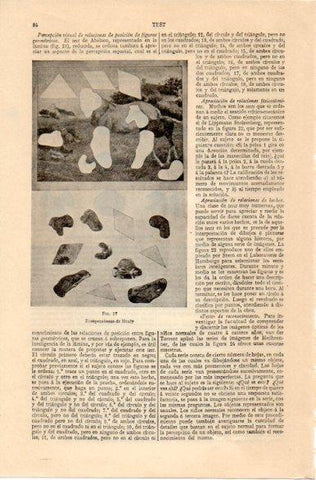 LAMINA V42533: Rompecabezas de Healy