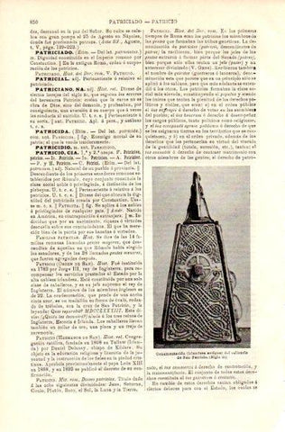 LAMINA V42423: Ornamentacion del relicario de San Patricio
