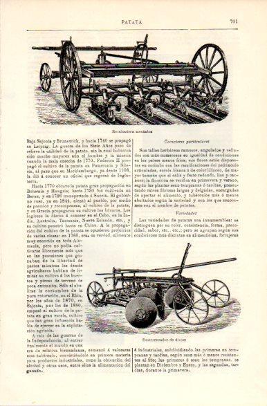 LAMINA V42403: Recalzadora mecanica de patatas