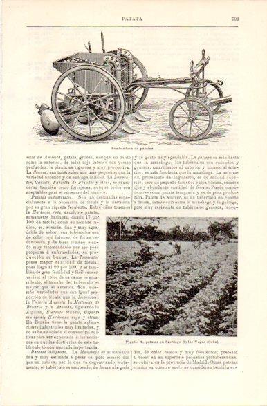 LAMINA V42404: Sembradora de patatas
