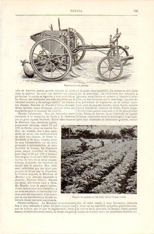 LAMINA V42404: Sembradora de patatas