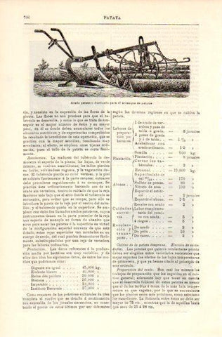 LAMINA V42405: Arado para el arranque de patatas