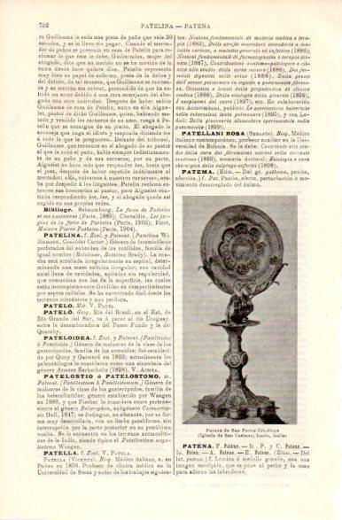 LAMINA V42409: Patena de San Pedro Crisologo en Imola, Italia