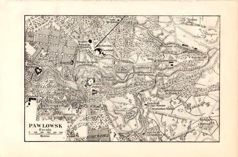 LAMINA V42456: Plano de Pawlowsk