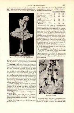 LAMINA V42442: Ana Paulova en la muerte del cisne por de Rosales