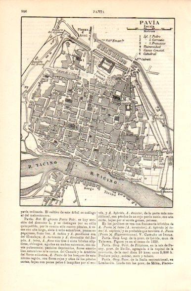 LAMINA V42444: Plano de Pavia