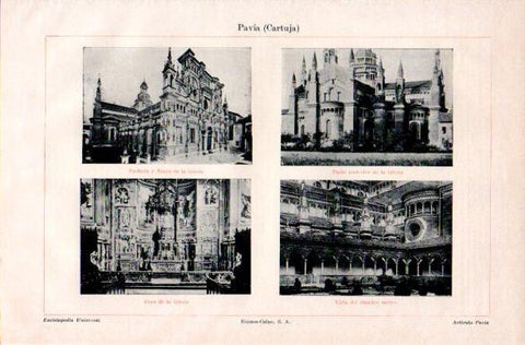 LAMINA V42447: La Cartuja de Pavia