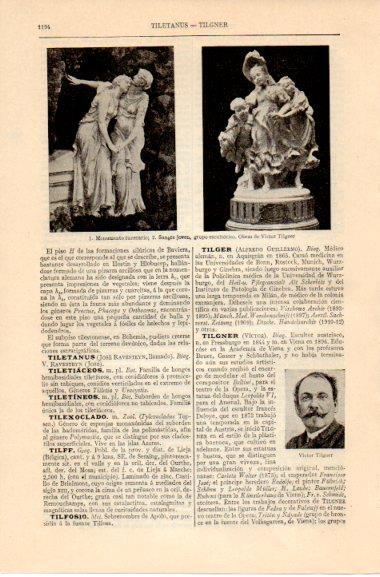 LAMINA V42638: Victor Tilgner