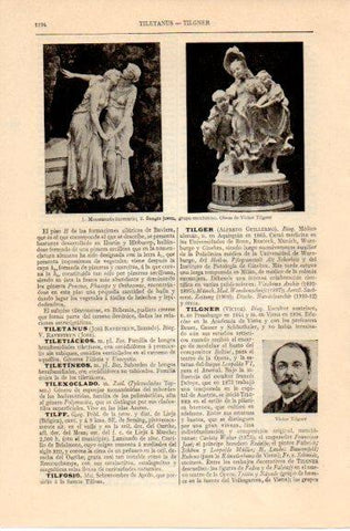 LAMINA V42638: Victor Tilgner