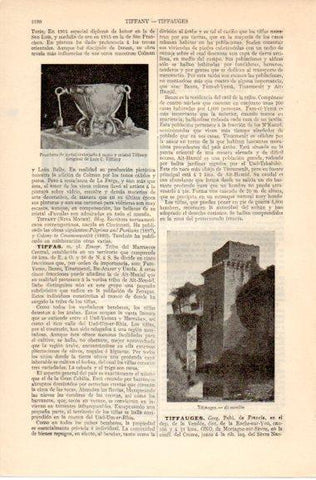 LAMINA V42624: Castillo de Tiffauges, Francia