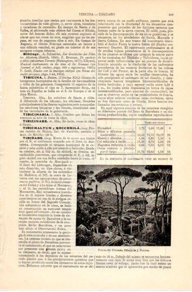LAMINA V42596: Pineda del Tibidabo por J. Pahissa