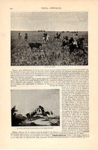 LAMINA V42599: La tienta por Goya