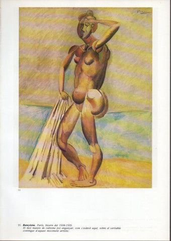 LAMINA V43107: Picasso. Banyista