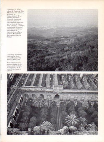 LAMINA V43487: Tejados de la Mezquita de Cordoba vista aerea