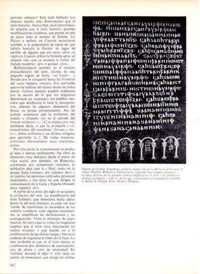 LAMINA V43590: Pagina del Codex Argenteus