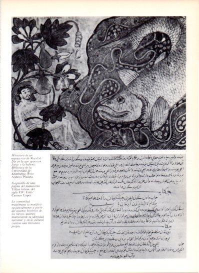LAMINA V43589: Jonas y la ballena manustrito de Rasid al-Din