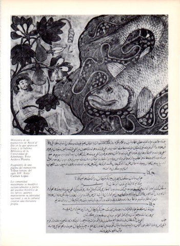 LAMINA V43589: Jonas y la ballena manustrito de Rasid al-Din